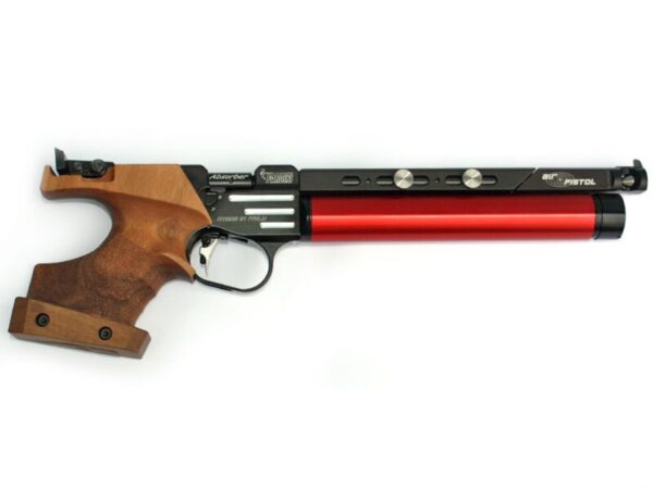 Pardini air pistol